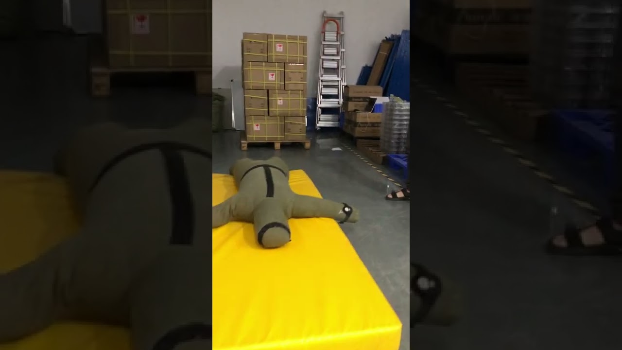 Fall detection demo