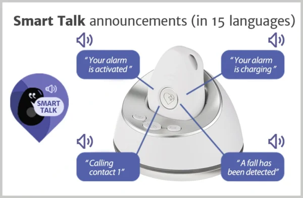 Order 4GX Mobile Alarm - Image 3