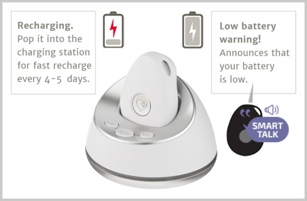 Order 4GX Mobile Alarm - Image 3